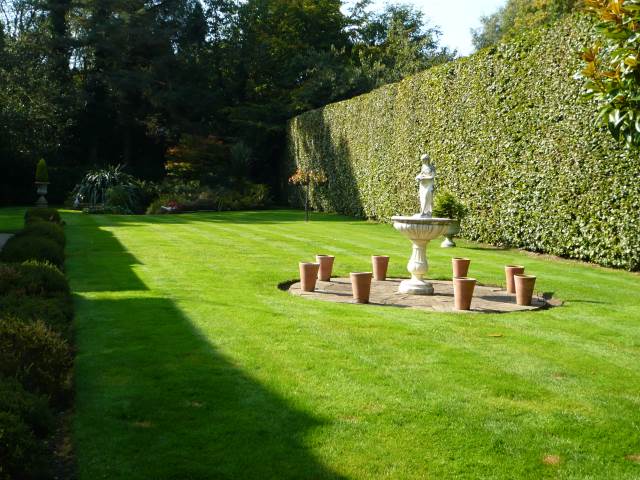 Lawn mowing in Surrey